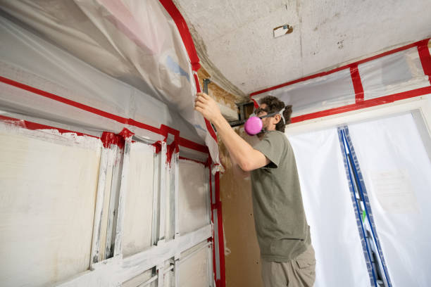 Best Mold Odor Removal Services  in Pine Nyon, CA